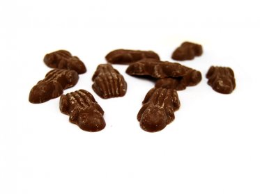 Chocolate Flavour Frogs